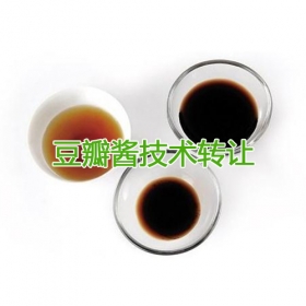 豆瓣醬技術(shù)轉(zhuǎn)讓